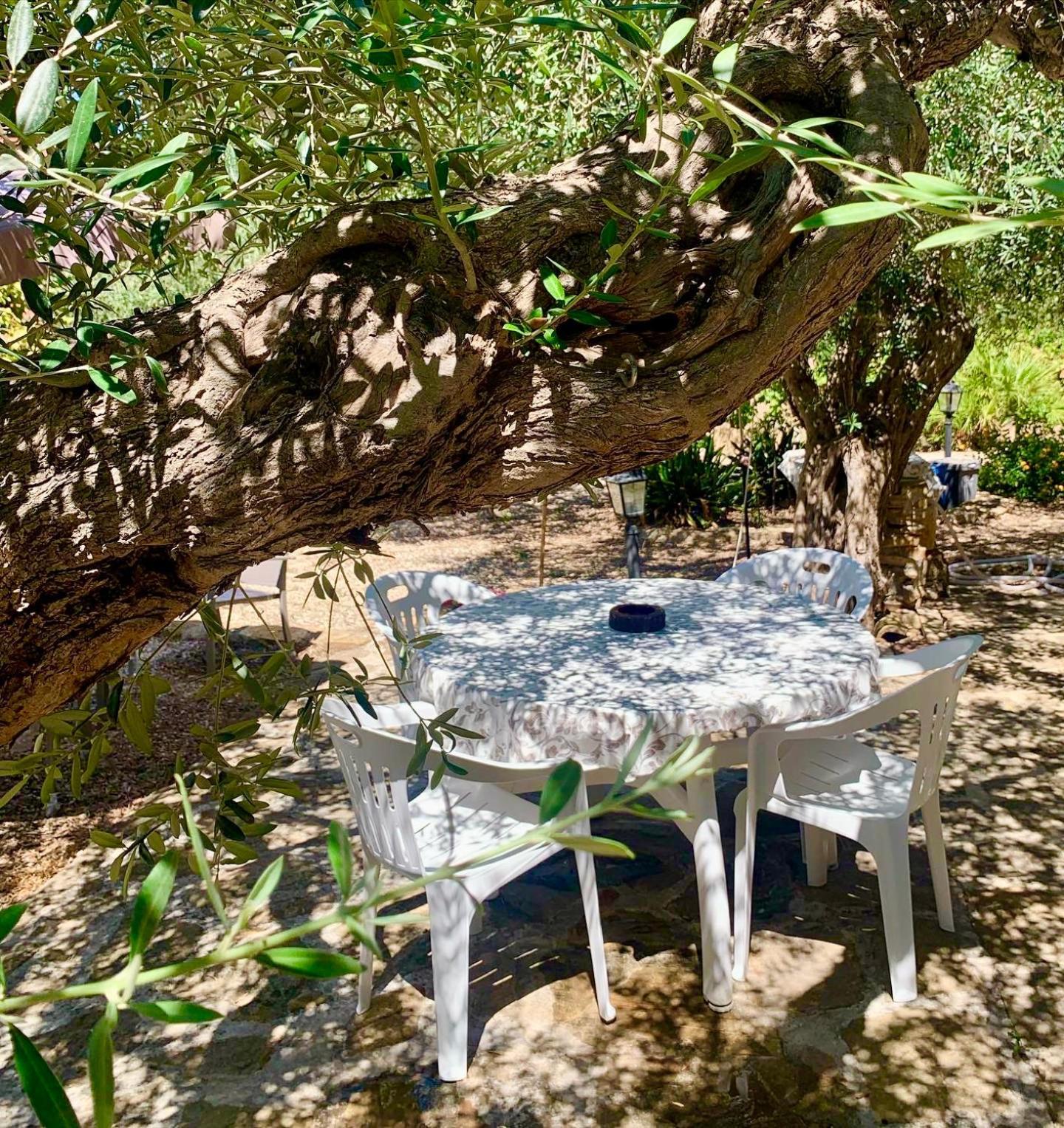 Casa Dell'Olio - Al Baglio Villa Paceco Kültér fotó