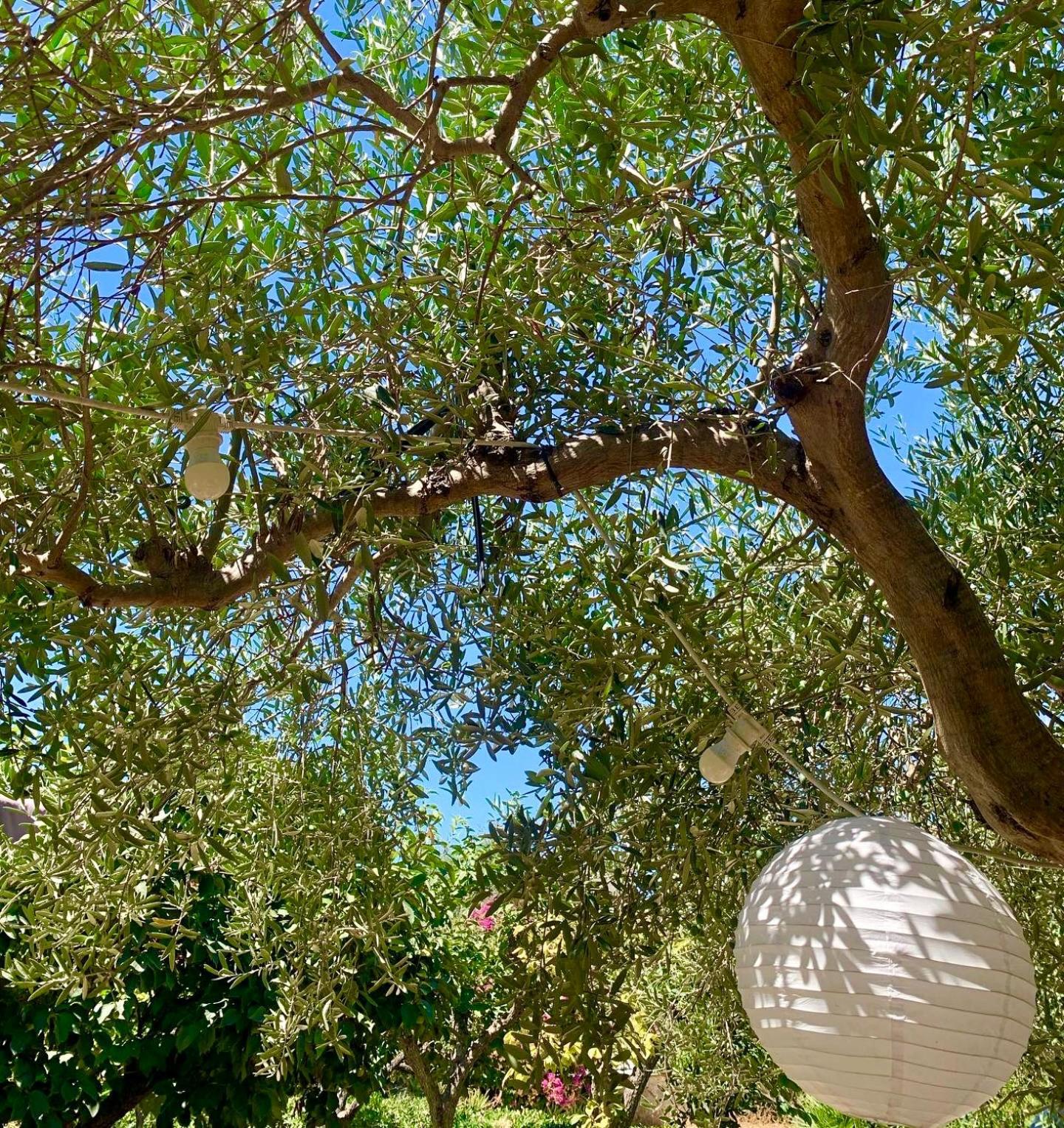 Casa Dell'Olio - Al Baglio Villa Paceco Kültér fotó